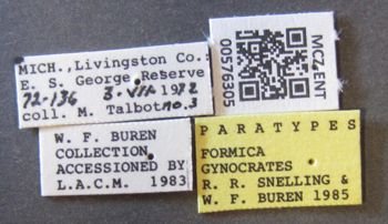 Media type: image;   Entomology 576305 Aspect: labels